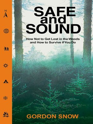 cover image of Safe and Sound